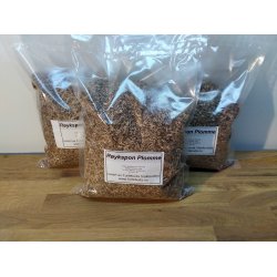 Rykspon Plomme 3 liter